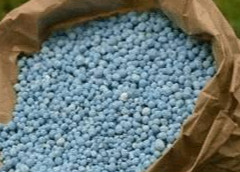 尿素多久被吸收？怎樣提高利用率？